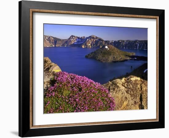 Penstemon Blooms on Cliff Overlooking Wizard Island-Steve Terrill-Framed Photographic Print