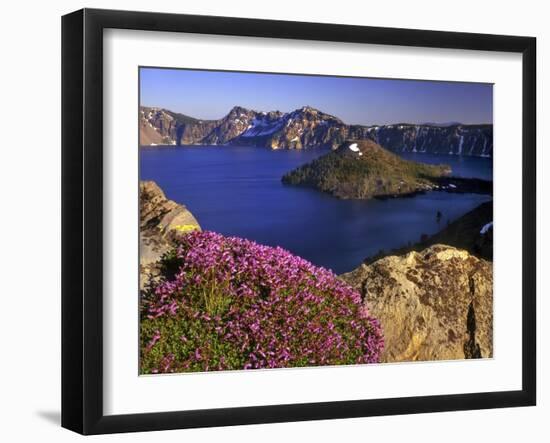 Penstemon Blooms on Cliff Overlooking Wizard Island-Steve Terrill-Framed Photographic Print