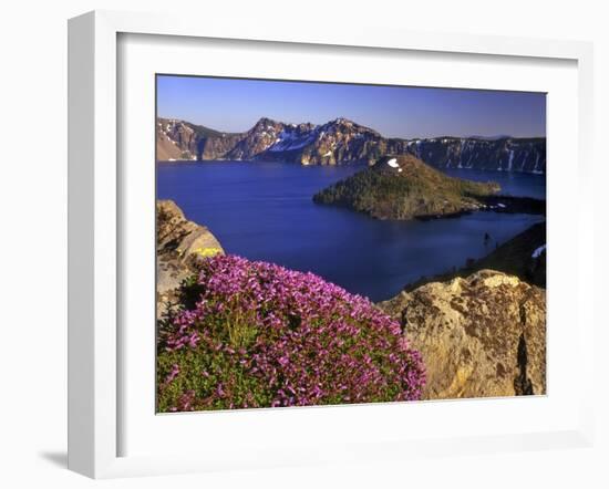 Penstemon Blooms on Cliff Overlooking Wizard Island-Steve Terrill-Framed Photographic Print