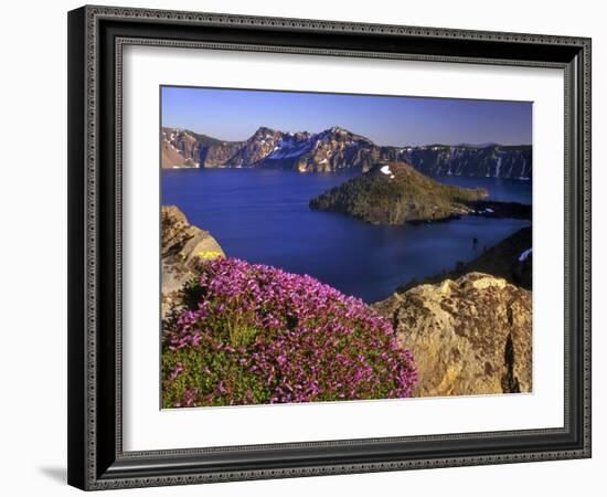 Penstemon Blooms on Cliff Overlooking Wizard Island-Steve Terrill-Framed Photographic Print