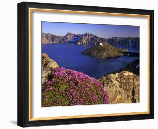 Penstemon Blooms on Cliff Overlooking Wizard Island-Steve Terrill-Framed Photographic Print