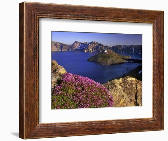 Penstemon Blooms on Cliff Overlooking Wizard Island-Steve Terrill-Framed Photographic Print