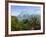 Penta Di Casinca, Haute-Corse, Corsica, France, Europe-John Miller-Framed Photographic Print