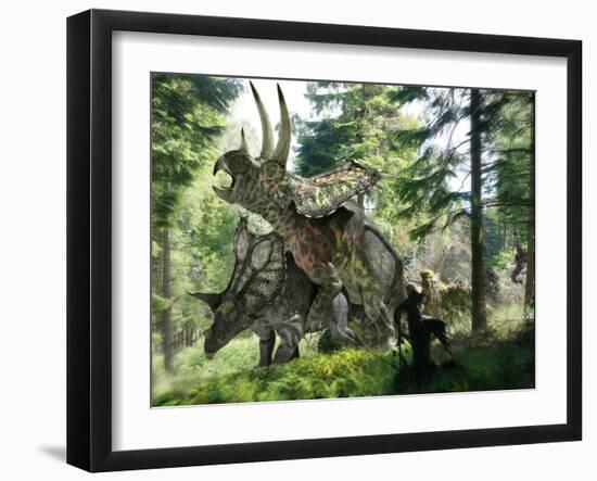 Pentaceratops Dinosaurs Mating-Jose Antonio-Framed Photographic Print