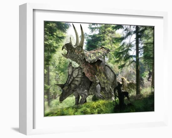 Pentaceratops Dinosaurs Mating-Jose Antonio-Framed Photographic Print