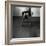 Pentacon Six Camera Shot of Topless Woman in Fishnet Stockings-Rafal Bednarz-Framed Photographic Print