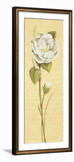 Peonia China-Luisa Romero-Framed Art Print