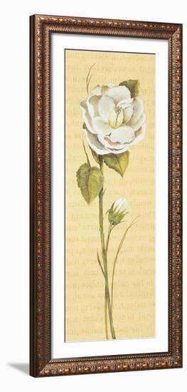 Peonia China-Luisa Romero-Framed Art Print