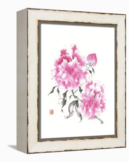 Peonie Blossoms I-Nan Rae-Framed Stretched Canvas