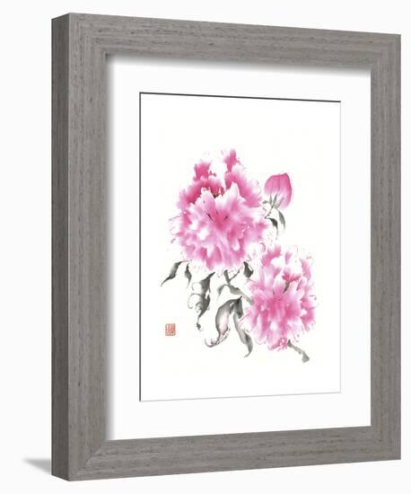 Peonie Blossoms I-Nan Rae-Framed Art Print