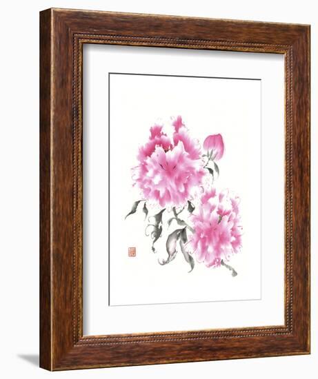 Peonie Blossoms I-Nan Rae-Framed Art Print