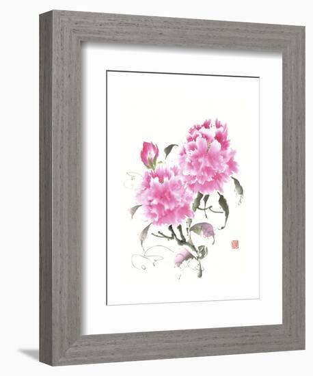 Peonie Blossoms II-Nan Rae-Framed Art Print