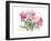 Peonies, 2004-Claudia Hutchins-Puechavy-Framed Giclee Print