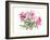 Peonies, 2004-Claudia Hutchins-Puechavy-Framed Giclee Print