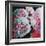 Peonies, 2010 (oil on canvas)-Helen White-Framed Giclee Print