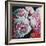 Peonies, 2010 (oil on canvas)-Helen White-Framed Giclee Print