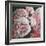 Peonies, 2010,-Helen White-Framed Giclee Print