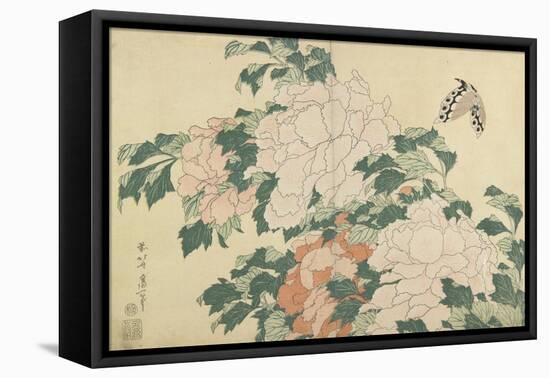 Peonies and Butterfly, C. 1830-1831-Katsushika Hokusai-Framed Premier Image Canvas