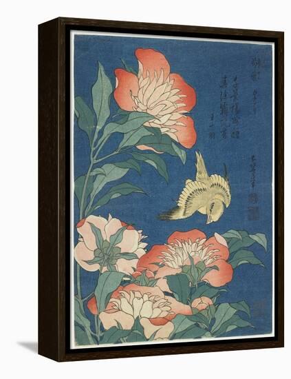 Peonies and Canary, C. 1833-Katsushika Hokusai-Framed Premier Image Canvas