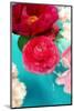 Peonies and Ranunculus Blossoms in Red and Rose, Swimming in Gloriously Blue Water-Alaya Gadeh-Mounted Photographic Print