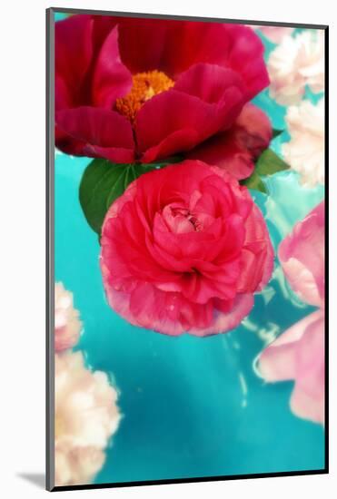 Peonies and Ranunculus Blossoms in Red and Rose, Swimming in Gloriously Blue Water-Alaya Gadeh-Mounted Photographic Print