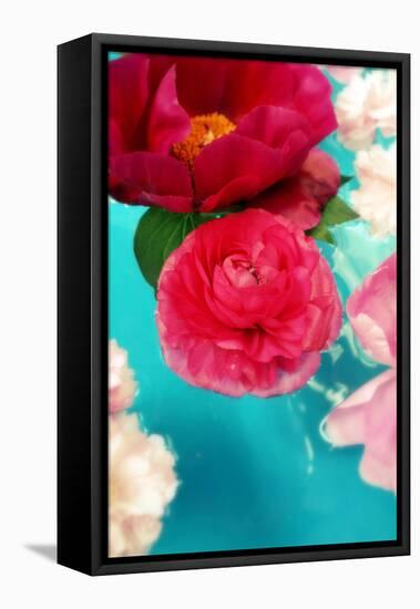 Peonies and Ranunculus Blossoms in Red and Rose, Swimming in Gloriously Blue Water-Alaya Gadeh-Framed Premier Image Canvas