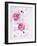 Peonies, Blossoms, Petals, Pink, Rose, White, Still Life-Axel Killian-Framed Photographic Print