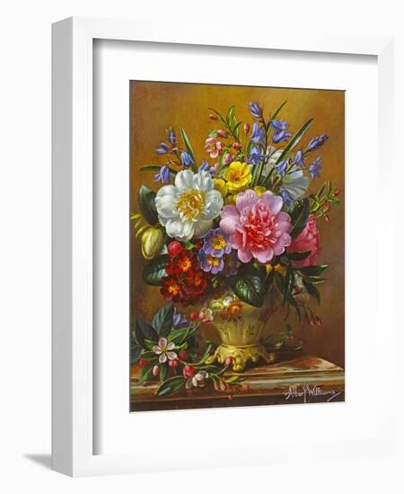 Peonies, Bluebells and Primulas-Albert Williams-Framed Giclee Print