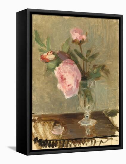 Peonies, C.1869 (Oil on Canvas)-Berthe Morisot-Framed Premier Image Canvas