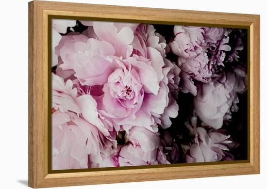 Peonies Galore I-Elizabeth Urquhart-Framed Stretched Canvas