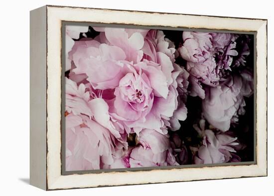 Peonies Galore I-Elizabeth Urquhart-Framed Stretched Canvas