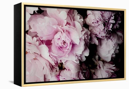 Peonies Galore I-Elizabeth Urquhart-Framed Stretched Canvas