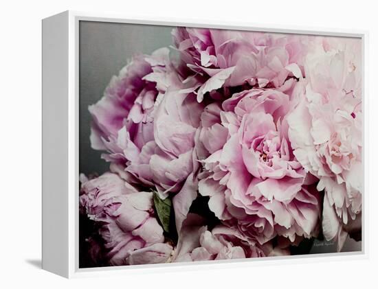 Peonies Galore II-Elizabeth Urquhart-Framed Stretched Canvas