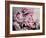 Peonies Galore II-Elizabeth Urquhart-Framed Photo