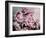 Peonies Galore II-Elizabeth Urquhart-Framed Photo