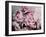 Peonies Galore II-Elizabeth Urquhart-Framed Photographic Print