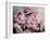 Peonies Galore II-Elizabeth Urquhart-Framed Photographic Print