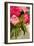 Peonies I-Karyn Millet-Framed Photographic Print