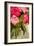 Peonies I-Karyn Millet-Framed Photographic Print