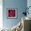 Peonies II-Ella Lancaster-Framed Giclee Print displayed on a wall