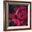 Peonies II-Ella Lancaster-Framed Giclee Print