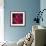 Peonies II-Ella Lancaster-Framed Giclee Print displayed on a wall