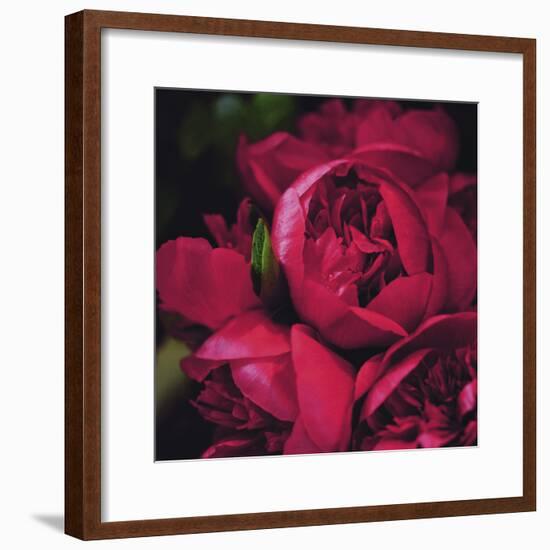 Peonies II-Ella Lancaster-Framed Giclee Print