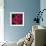 Peonies II-Ella Lancaster-Framed Giclee Print displayed on a wall