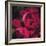 Peonies II-Ella Lancaster-Framed Giclee Print