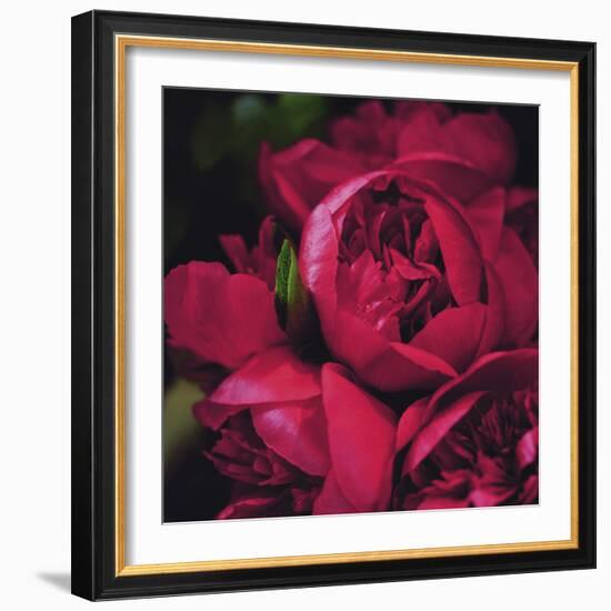 Peonies II-Ella Lancaster-Framed Giclee Print