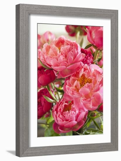 Peonies II-Karyn Millet-Framed Photographic Print