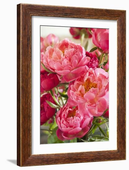 Peonies II-Karyn Millet-Framed Photographic Print