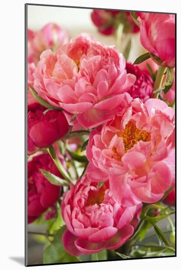 Peonies II-Karyn Millet-Mounted Photographic Print