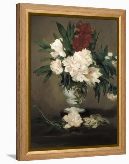 Peonies in a Vase-Edouard Manet-Framed Stretched Canvas